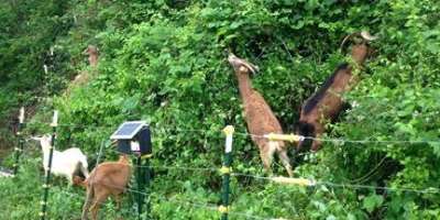 What's New at Chimney Rock?
