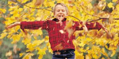 Fall Foliage Forecast