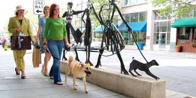 Pets Now Welcome at Asheville Restaurants
