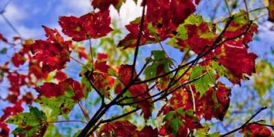 Photo of the Day: First Signs of Fall