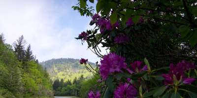 Blue Ridge Parkway Reopens