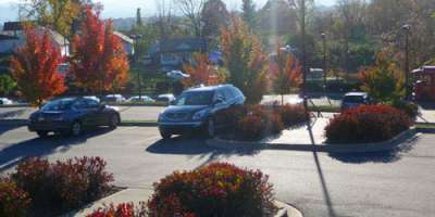Asheville Fall Color Report for November 5