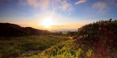 Sunrise Over Craggy Gardens
