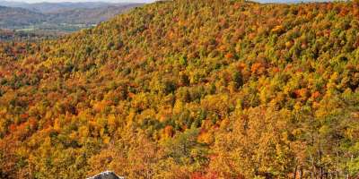 Gorgeous Color in the High Country