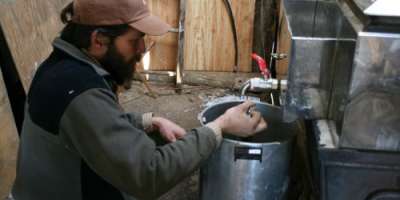 Discover the Magic of Making Maple Syrup