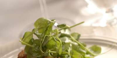 Support Asheville Future Foodies