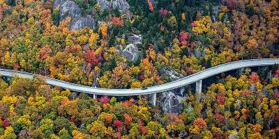 Fall Color From Above