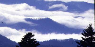 Win a Pair of Go Blue Ridge Cards