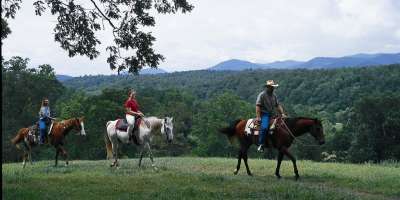 Horse Lovers—Plan an Equestrian Vacation in Asheville