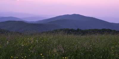 Purple Mountains Majesty