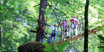 New Zip Line Tours Arrive in WNC