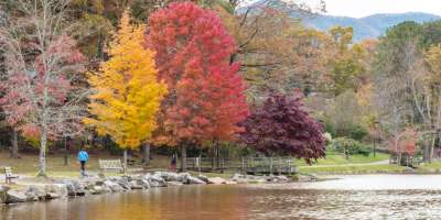 Late Fall Color at Lake Tomahawk