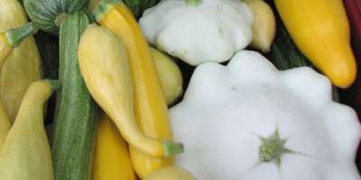 Farm-to-Freezer-to-Table: Put the tailgate market in your freezer