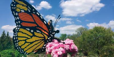 LEGO exhbit at NC Arboretum