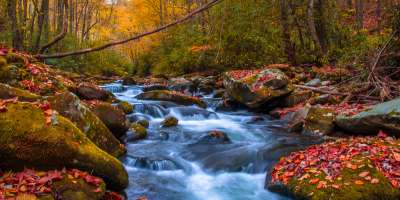 Cherokee River in Fall