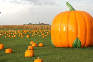 Geisler Farms