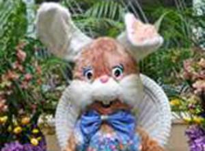 Easter Bunny Meridian Mall