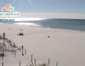 Live Webcams Of Panama City Beach