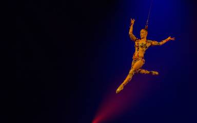 Cirque du Soleil