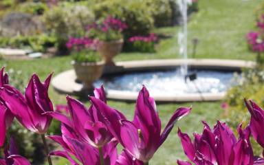 GARDENS HEADER