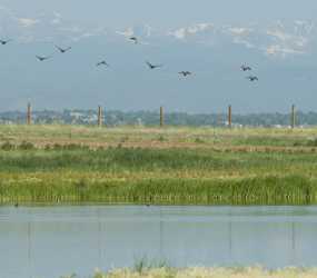 Must See Attractions In Denver Visit Denver
