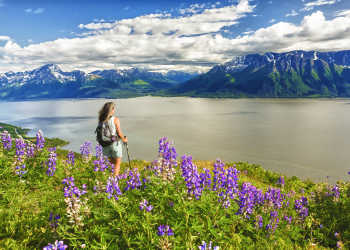 Anchorage hiking trails above Turnagain Arm