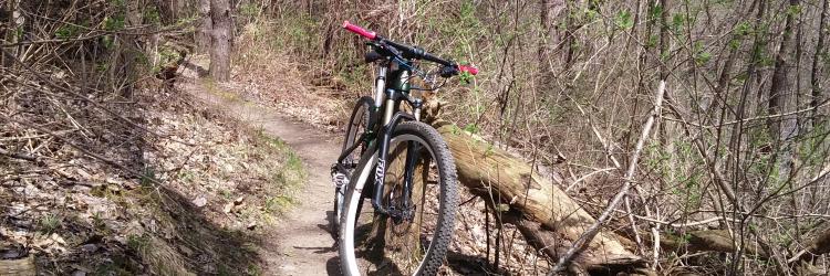 Mountain Biking Mountain Biking