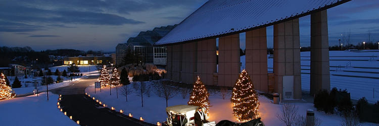 Winter Carriage Ride Winter Carriage Ride