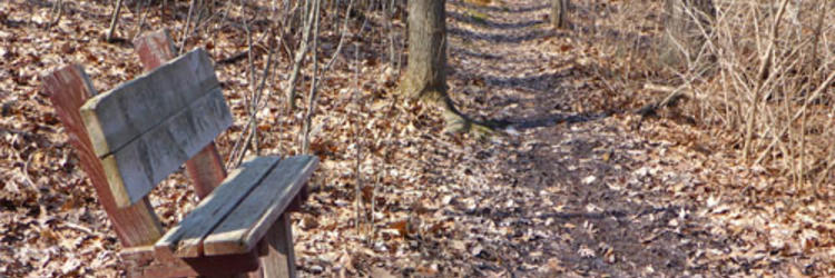 Nature Nearby Nature Nearby
