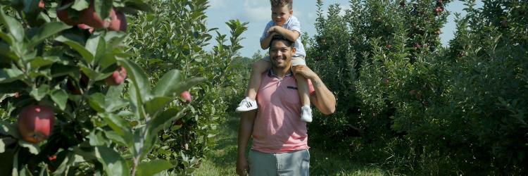 Apple picking at Bloks Apple picking at Bloks