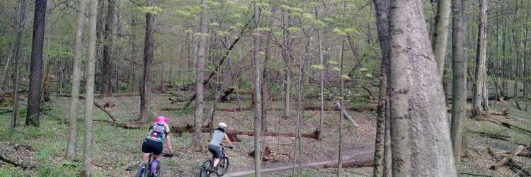 Mountain biking trail Mountain biking trail