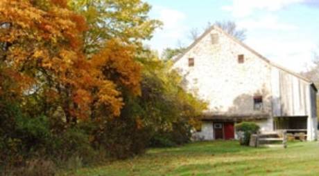 Fall Foliage