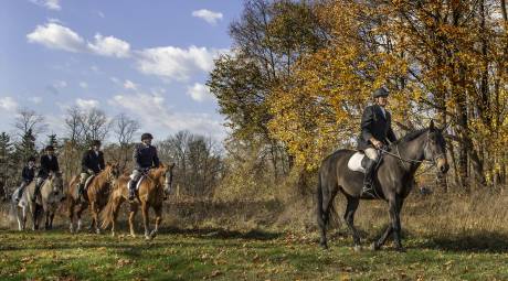 Highlands Hunt