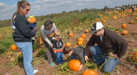 FALL FESTIVALS - FREDDY'S FALLFEST