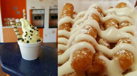 Swirls & Nibbles Froyo and Funnel Fries