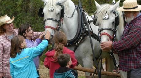FALL FESTIVALS - APPLE BUTTER FROLIC