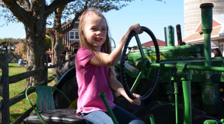 FALL FESTIVALS - FALL FEST WEEKENDS