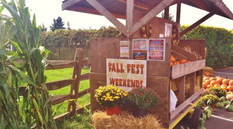 KID FRIENDLY HALLOWEEN - FALL FEST WEEKENDS