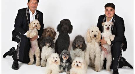 Olate Dogs