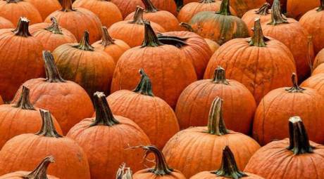 KID FRIENDLY HALLOWEEN - BOYERTOWN'S BOUNTEOUS HARVEST