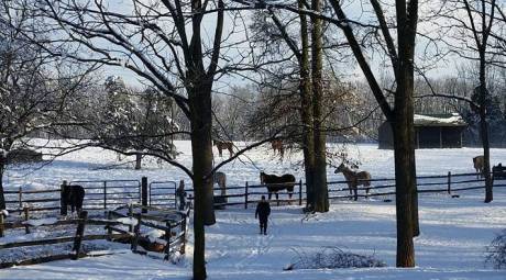 Outdoor Winter Activities - Horseback Rides