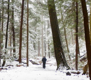 Cross County Skiing and Showshoeing