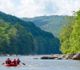 Ohiopyle - Middle Scenic Shot