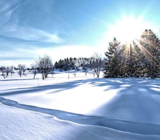 Winter