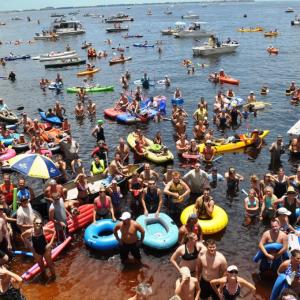 Image result for freedom swim punta gorda