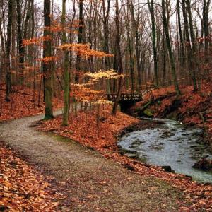 The Top 5 Fall Hikes In Greater Columbus Greater Columbus Is One Of The Best Places In U S To See Gorgeous Fall Foliage We Sit At Crossroads North And South Boast Tree