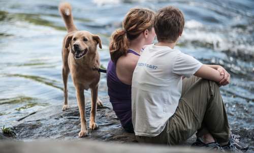 Locanto Dating in South Carolina