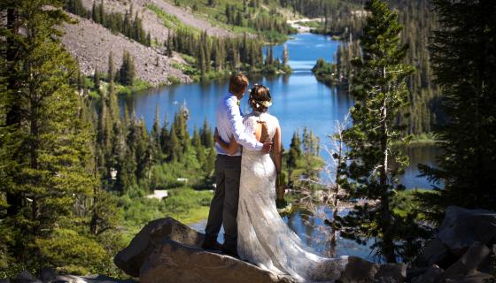 Weddings Wedding 2