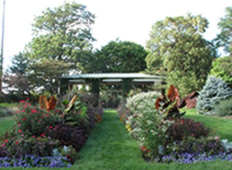 Cooley Gardens