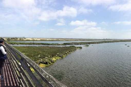 Bolsa Chica State Beach Visit Huntington Surf City Usa Celebrate Earth Day In Huntington Beach With 4 Beautiful Nature Walks